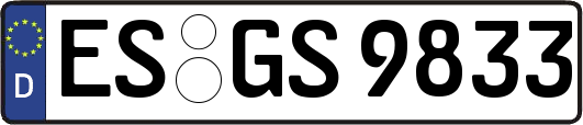ES-GS9833