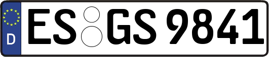 ES-GS9841