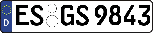 ES-GS9843