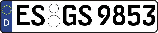 ES-GS9853