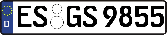 ES-GS9855