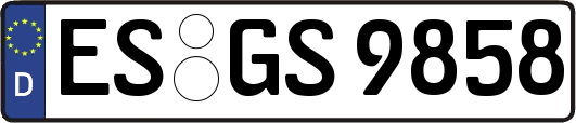 ES-GS9858