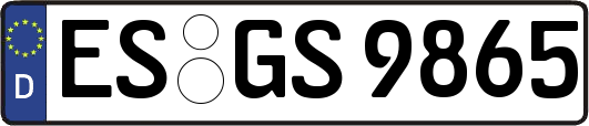 ES-GS9865
