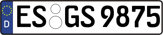 ES-GS9875