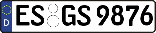 ES-GS9876