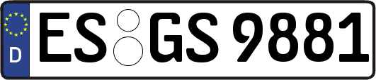 ES-GS9881
