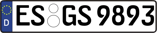 ES-GS9893