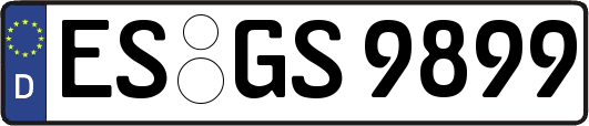 ES-GS9899