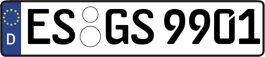 ES-GS9901