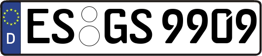 ES-GS9909