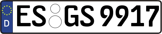 ES-GS9917