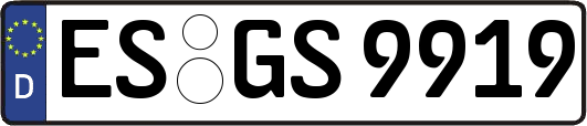 ES-GS9919