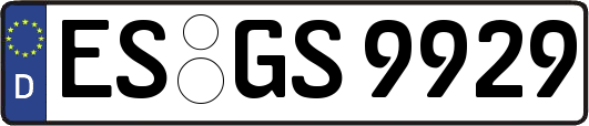 ES-GS9929
