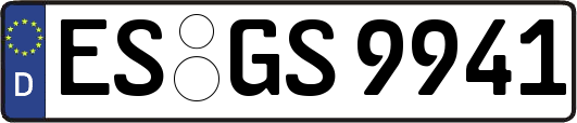 ES-GS9941
