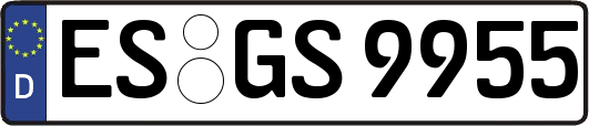 ES-GS9955