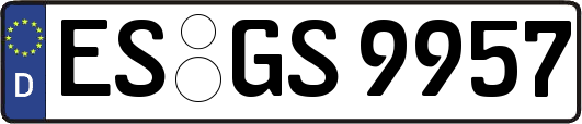 ES-GS9957