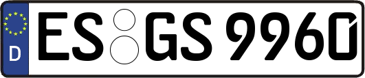 ES-GS9960