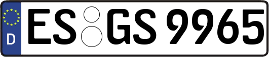ES-GS9965