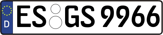ES-GS9966