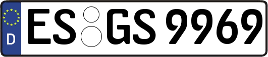 ES-GS9969
