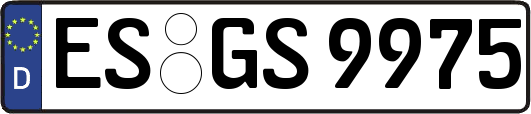 ES-GS9975
