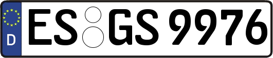 ES-GS9976