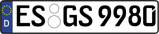 ES-GS9980