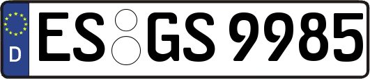 ES-GS9985