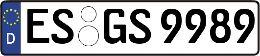 ES-GS9989