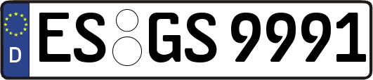 ES-GS9991