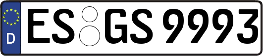 ES-GS9993