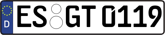 ES-GT0119