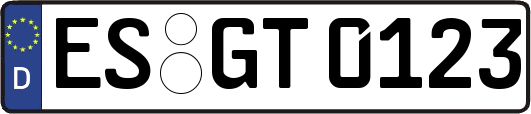 ES-GT0123