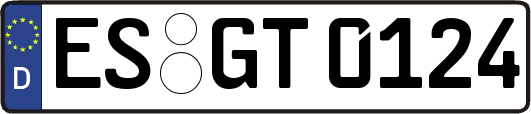 ES-GT0124