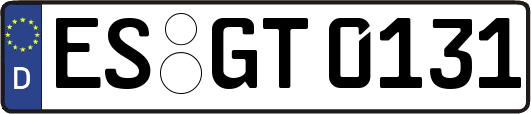 ES-GT0131