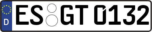 ES-GT0132