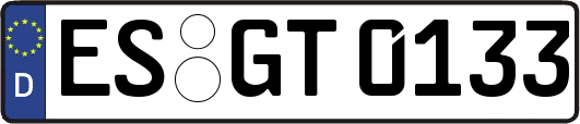 ES-GT0133