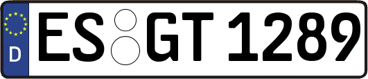 ES-GT1289