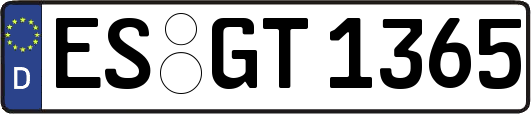 ES-GT1365