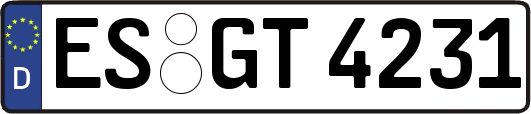 ES-GT4231