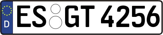 ES-GT4256