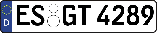 ES-GT4289