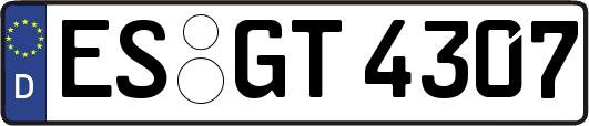 ES-GT4307