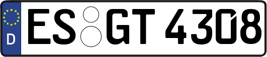 ES-GT4308
