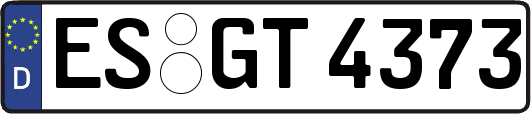 ES-GT4373