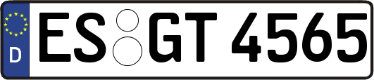 ES-GT4565