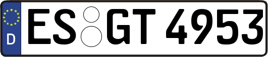 ES-GT4953