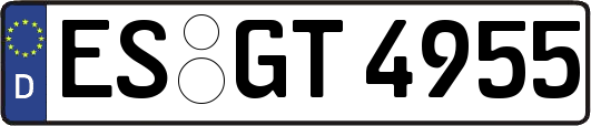 ES-GT4955