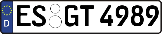 ES-GT4989