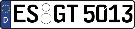 ES-GT5013
